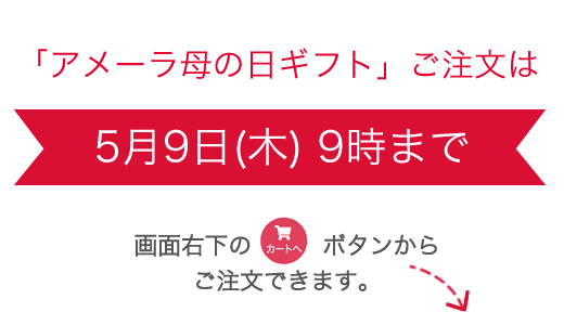 アメーラ母の日ギフトご注文は5月9日(木) 9時まで